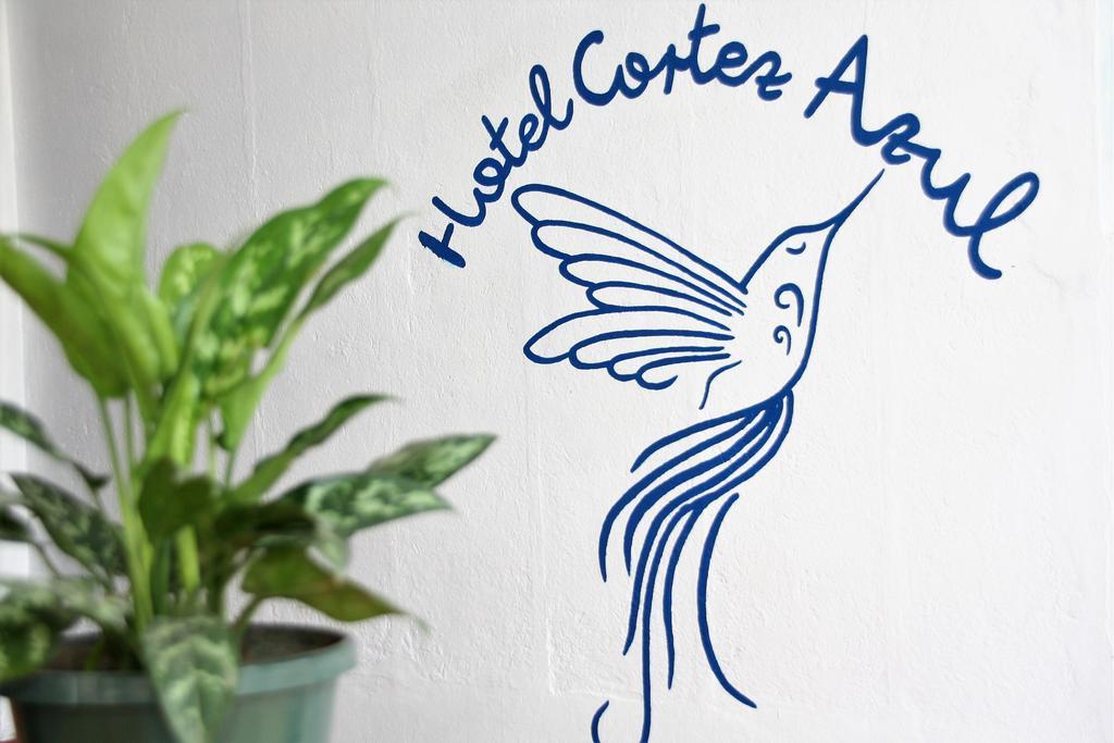 Hotel Cortez Azul Alajuela ภายนอก รูปภาพ